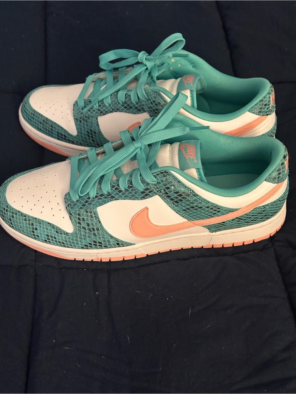 Men’s Dunk Low Me Teal and Coral Size 11